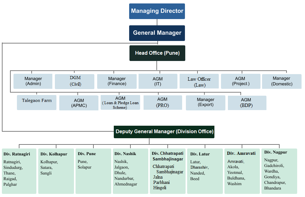 Organization